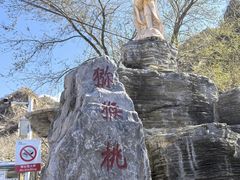-大岭沟猕猴桃谷风景区