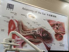 -自然之声助听器(平凉店)