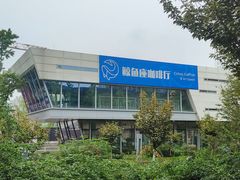 -Cetus coffee鲸鱼座咖啡·拼豆(二仙桥公园店)