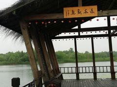 -溱湖国家湿地公园