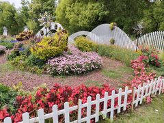 -上海共青森林公园