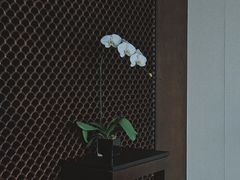-上海璞麗酒店
