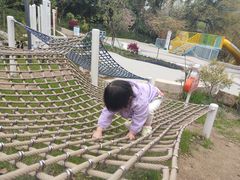 -杭州少年儿童公园