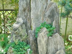 -上海醉白池公园