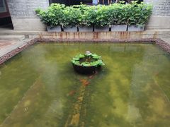 -蒙肥羊·酸汤潮牛·鲜牛肉火锅烤肉自助(岗顶店)