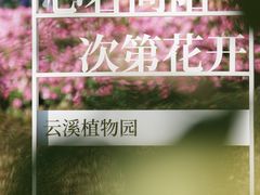 -云溪植物园