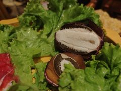 -老牌坊云南鱼豆花火锅(爱建店)