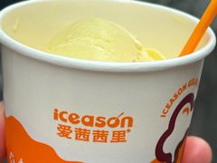 -iceason爱茜茜里·意大利健康冰淇淋(骑龙巷店)