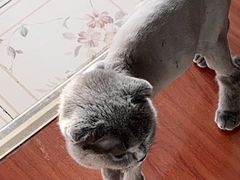 -沐沐家宠物(成寿寺店)