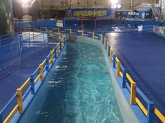 -兴芮温泉度假区