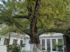 -广东温泉宾馆