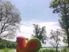 -渤公岛生态公园