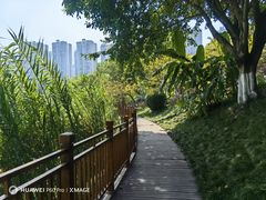 -重庆彩云湖湿地公园