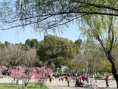 -太子山公园(园东路)