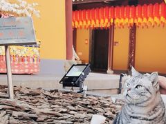 -龙华寺