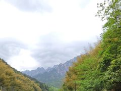 -黄山风景区