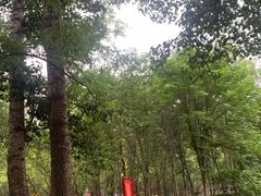 -廊坊市自然公园