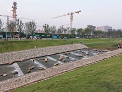 -光明小镇欢乐田园