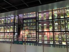 -广东中医药博物馆