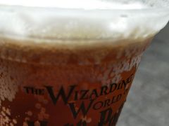 -哈利波特魔法世界