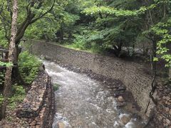 -本溪汤沟绿石谷森林公园