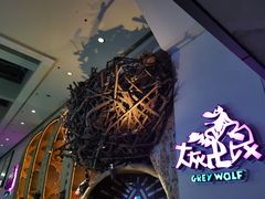 -大灰狼(中心书城店)