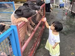 -深圳野生动物园