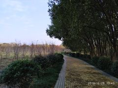 -同里国家湿地公园