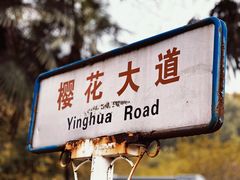 -武汉大学-樱园