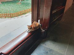 -西园戒幢律寺