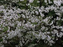-知美术馆