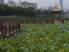 -南宁南湖公园