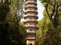 -灵谷景区