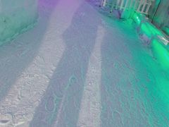 -世界之窗阿尔卑斯冰雪世界