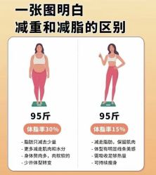 -Fundi张玉珊修身堂·indiba·BTL科技瘦身