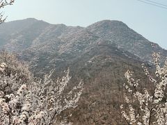 -阳台山自然风景区
