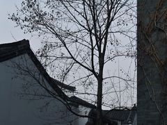 -北山街历史文化街区