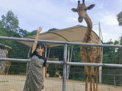 -泉州海丝野生动物世界