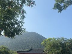 -华清宫景区