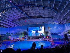 -海合安武汉极地海洋公园