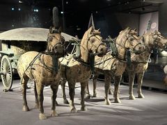 -秦始皇帝陵博物院(兵马俑)
