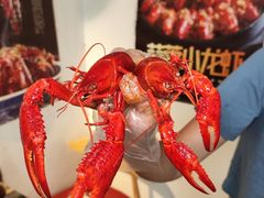 -祥鹤龙虾螃蟹