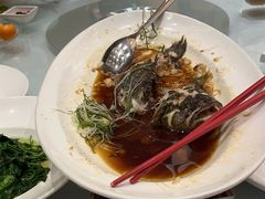 -沪碟·精菜坊(闵行店)
