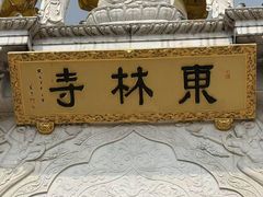 -上海东林寺(金山区)