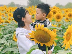 -映月湖中央公园