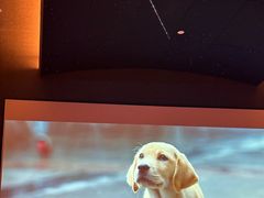 -涨巢·潮玩水疗局