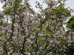 -上海市普陀区中心医院