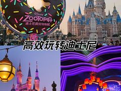 -上海迪士尼度假区