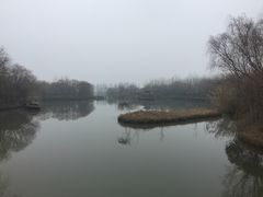 -溱湖国家湿地公园