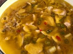 -源泉冷水鱼庄(小鱼洞店)